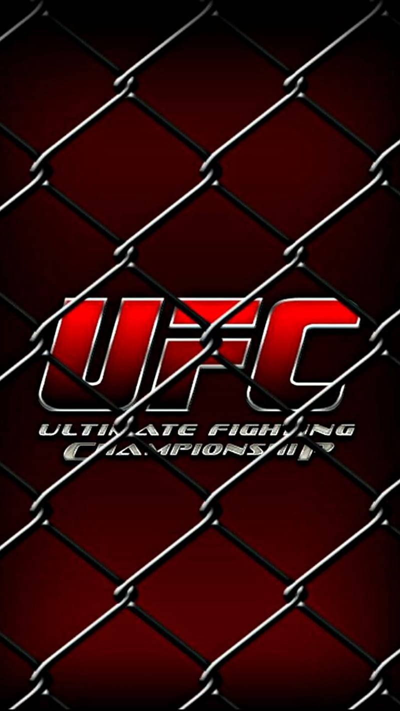 HD-wallpaper-ufc-mma-fight-cage